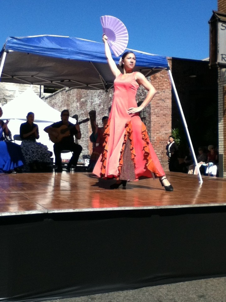 flamenco2