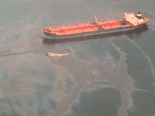 Реферат: An Overview Of The Exxon Valdez Oil